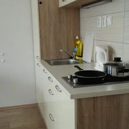 Apartmán Bratislavska Brno