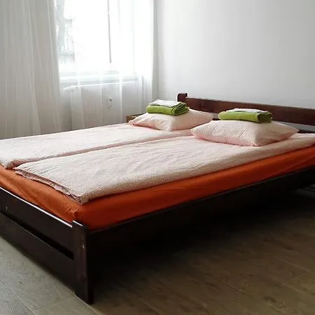 Apartment Bratislavska Brno